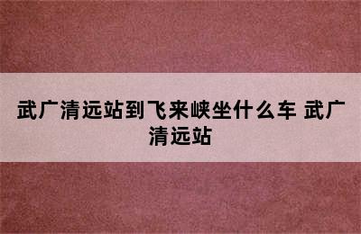 武广清远站到飞来峡坐什么车 武广清远站